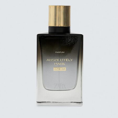 ABSOLUTELY DARK INTENSE PARFUM 100ML (3.38 FL.OZ)